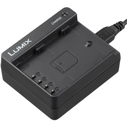 Panasonic DMW-BTC13GN Usb Charger 001